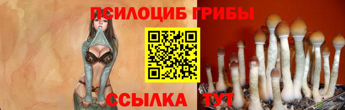 Галлюциногенные грибы прущие грибы  Вход с VPN  Псилоцибиновые грибы GOLDEN TEACHER  Егорьевск 