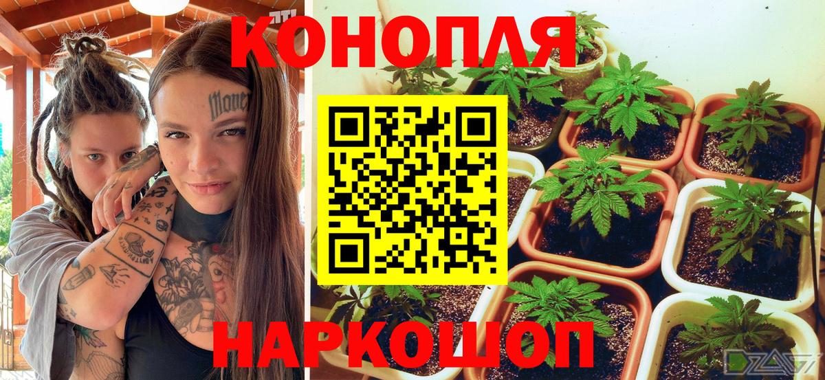 Егорьевск  МАРИХУАНА MAZAR  Вход с VPN  Марихуана сатива 