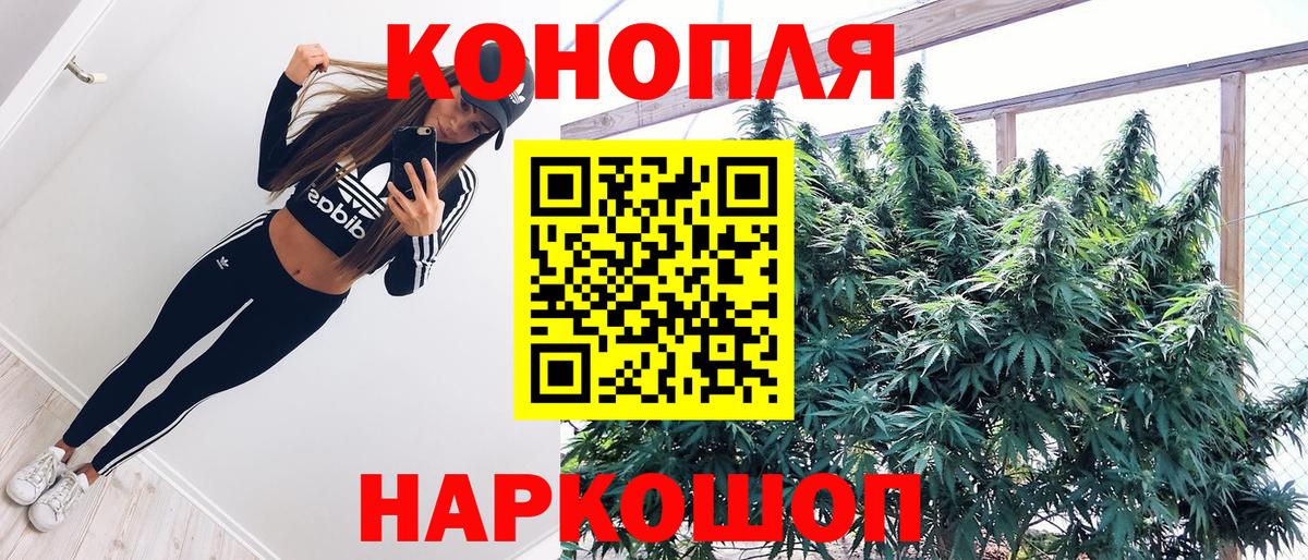 Канабис планчик Егорьевск